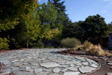 Backyard - 4117 Park Blvd, Palo Alto 94306