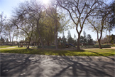 Park - 4117 Park Blvd, Palo Alto 94306