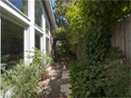 Side Yard - 854 Rorke Way, Palo Alto 94303