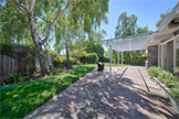 Backyard - 3890 Louis Rd, Palo Alto 94303
