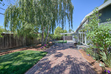 Backyard - 3890 Louis Rd, Palo Alto 94303