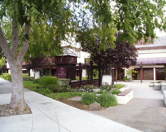 4157 El Camio Way # H