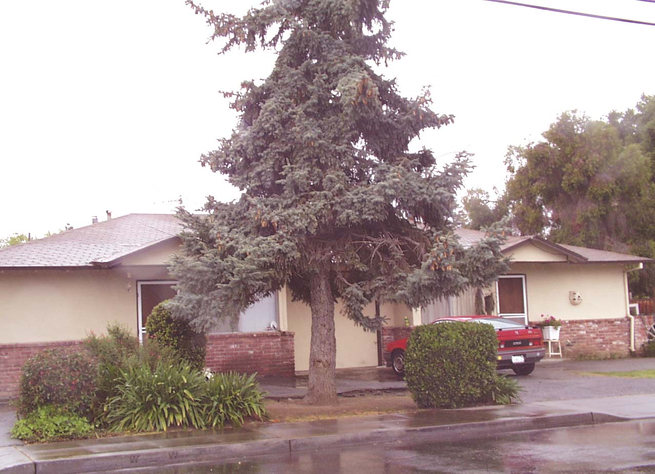 41 Fairhaven Court, Mountain View