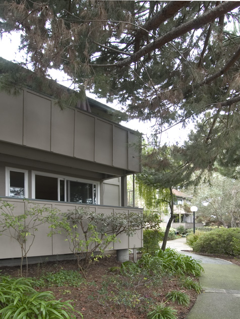 Picture of 2456 W Bayshore Rd, Unit 5