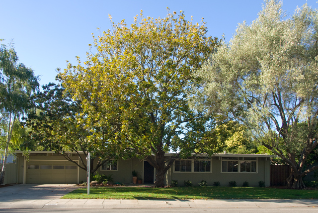 Channing Ave 1607  picture - 1607 Channing Ave, Palo Alto 94303