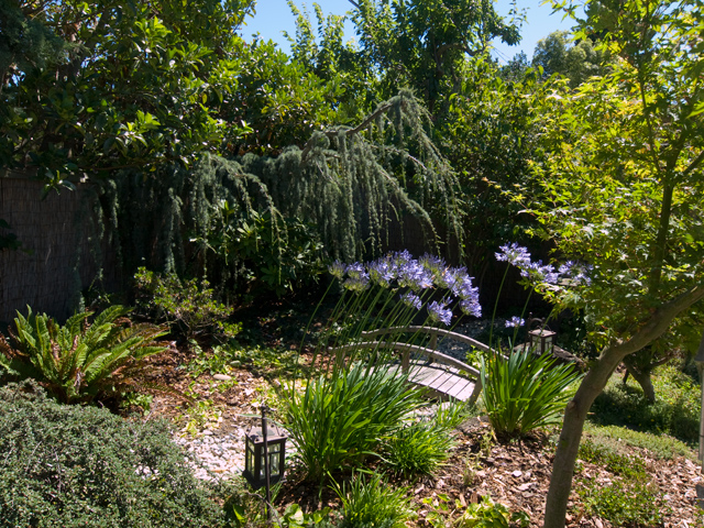 Garden Bridge  picture - 994 Loma Verde Ave, Palo Alto 94303