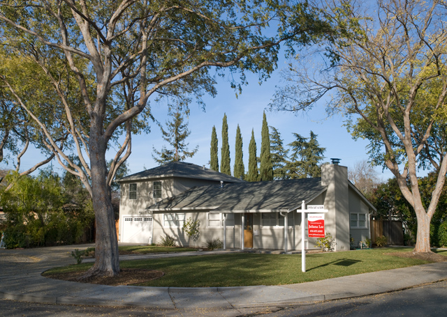 Click to go to high resolution photo