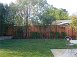 Previous picture page