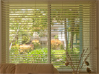 3270 Saint Ignatius Pl, Santa Clara 95051 - Living Room Window 