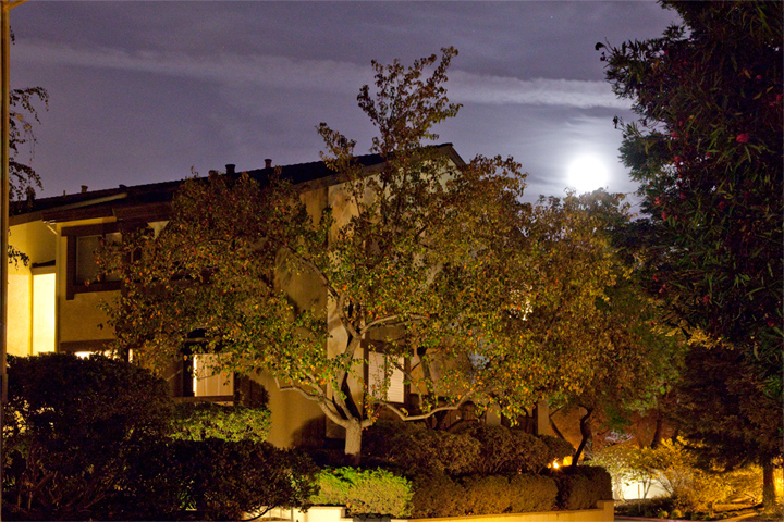 San Antonio Rd 765 43  picture - 765 San Antonio Rd, Unit 43, Palo Alto 94303