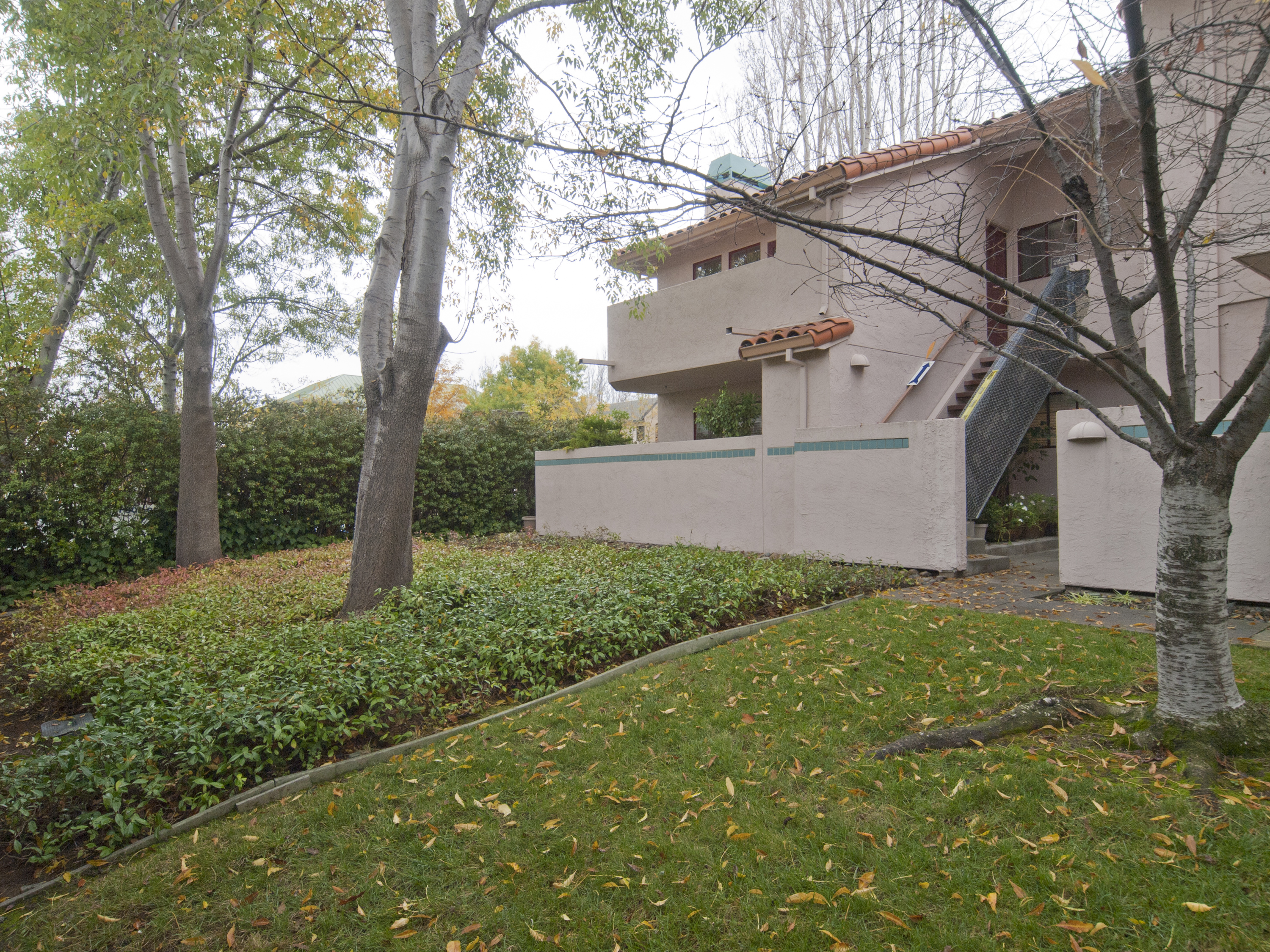Front View - 10201 Nile Dr, Cupertino 95014