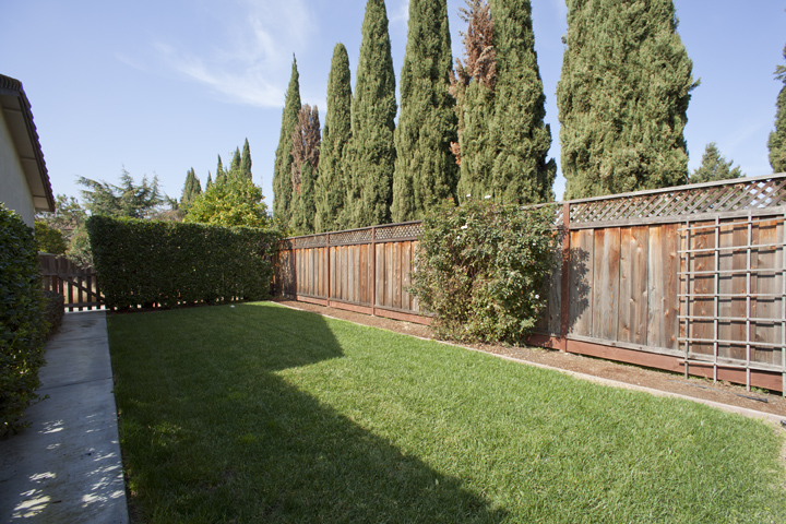 Backyard picture -  r, Sunnyvale 94086