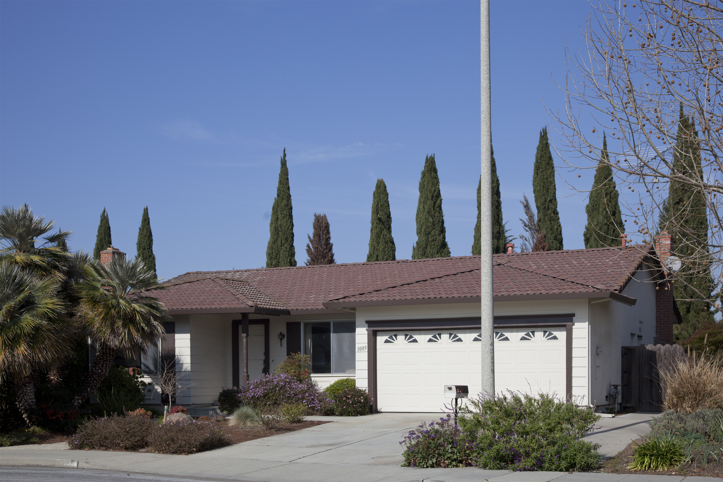 1003 Lupine Dr, Sunnyvale 94086 - Lupine Dr 1003 