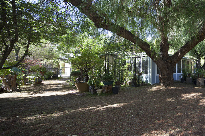 Front Yard picture - 190 E Middlefield Rd, Mountain View 94043