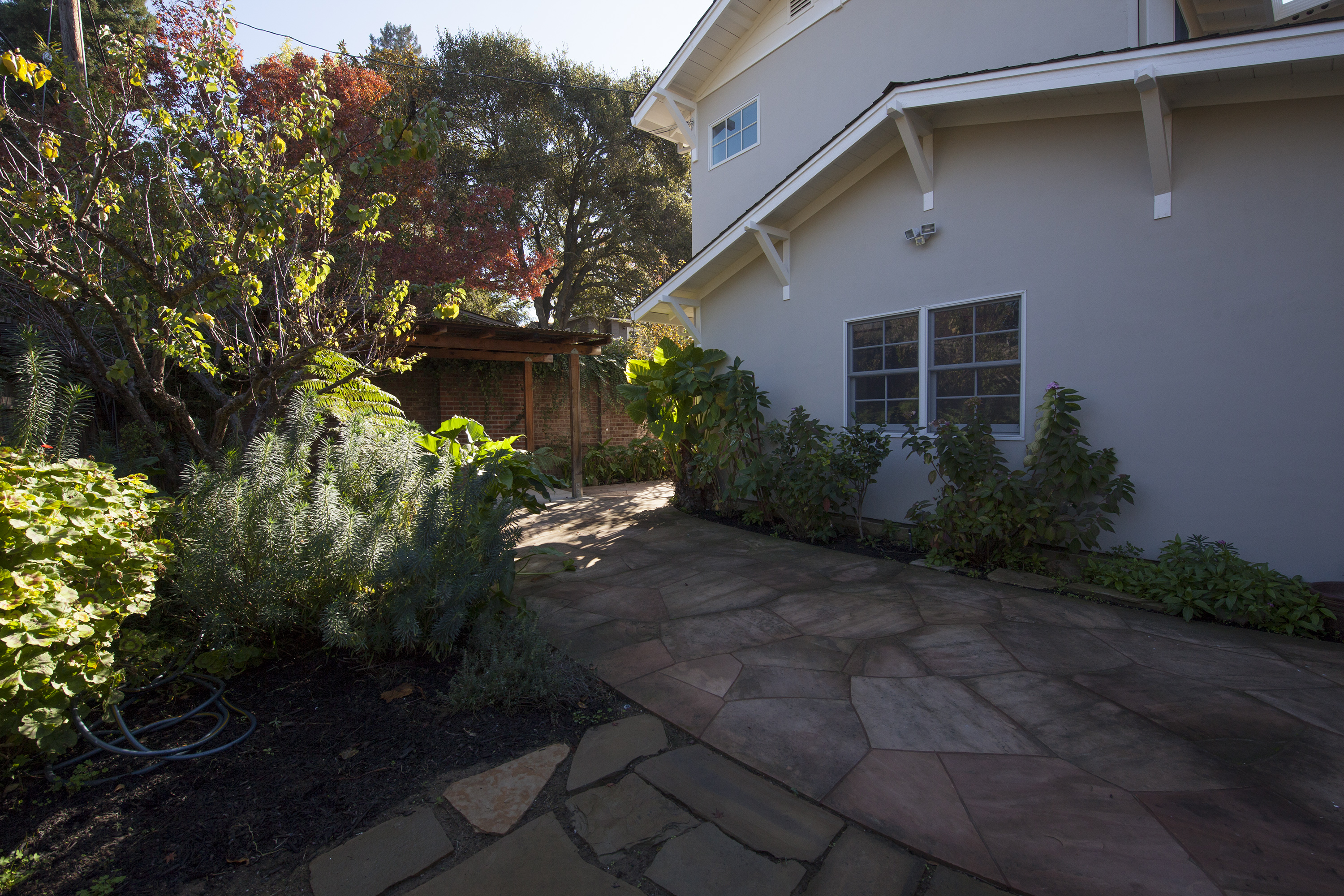 20355 Orchard Rd, Saratoga 95070 - Backyard (A)