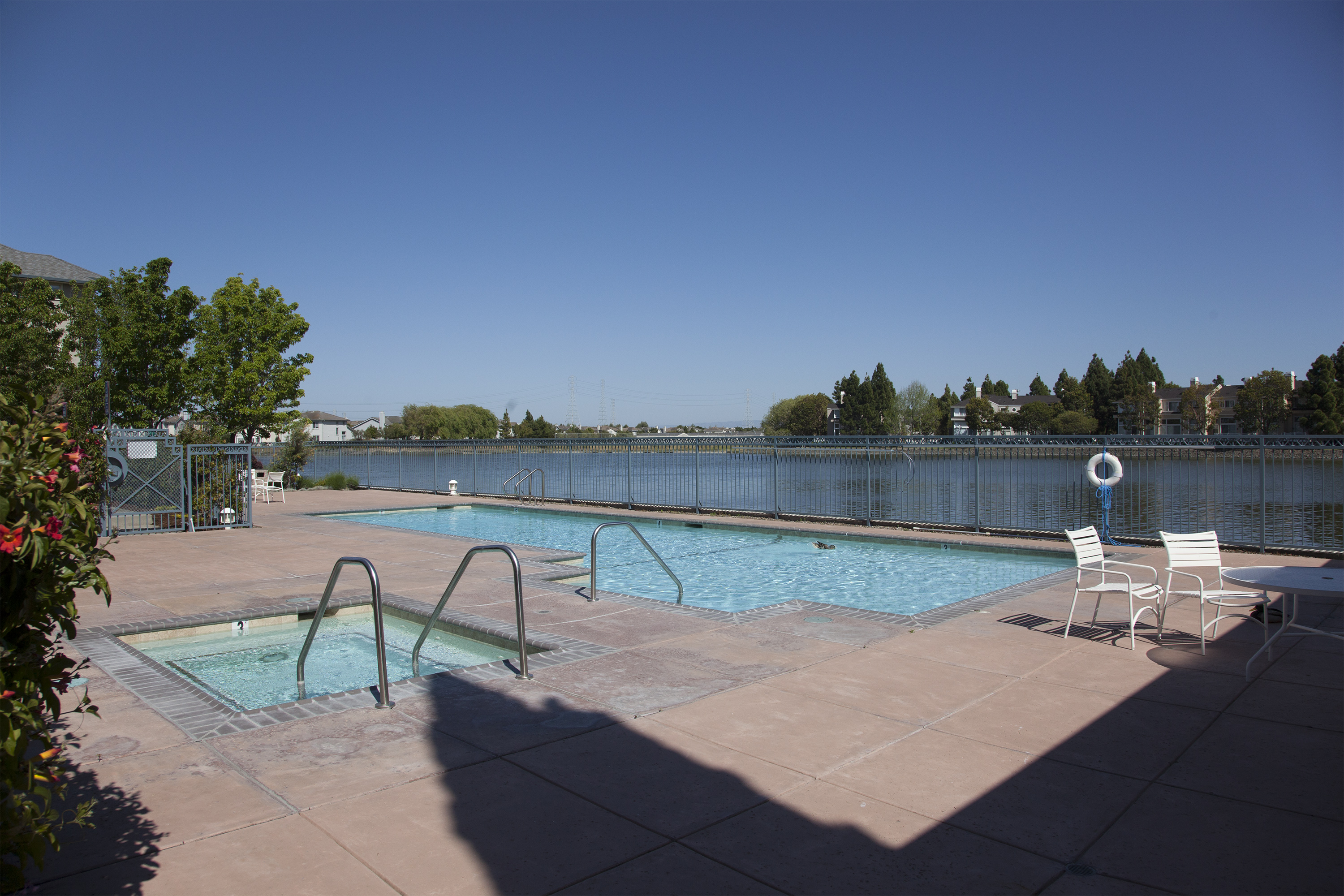 401 Baltic Cir #429, Redwood Shores 94065 - Swimming Pool 1 