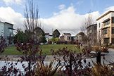 View From Porch - 3282 Berryessa St, Palo Alto 94303
