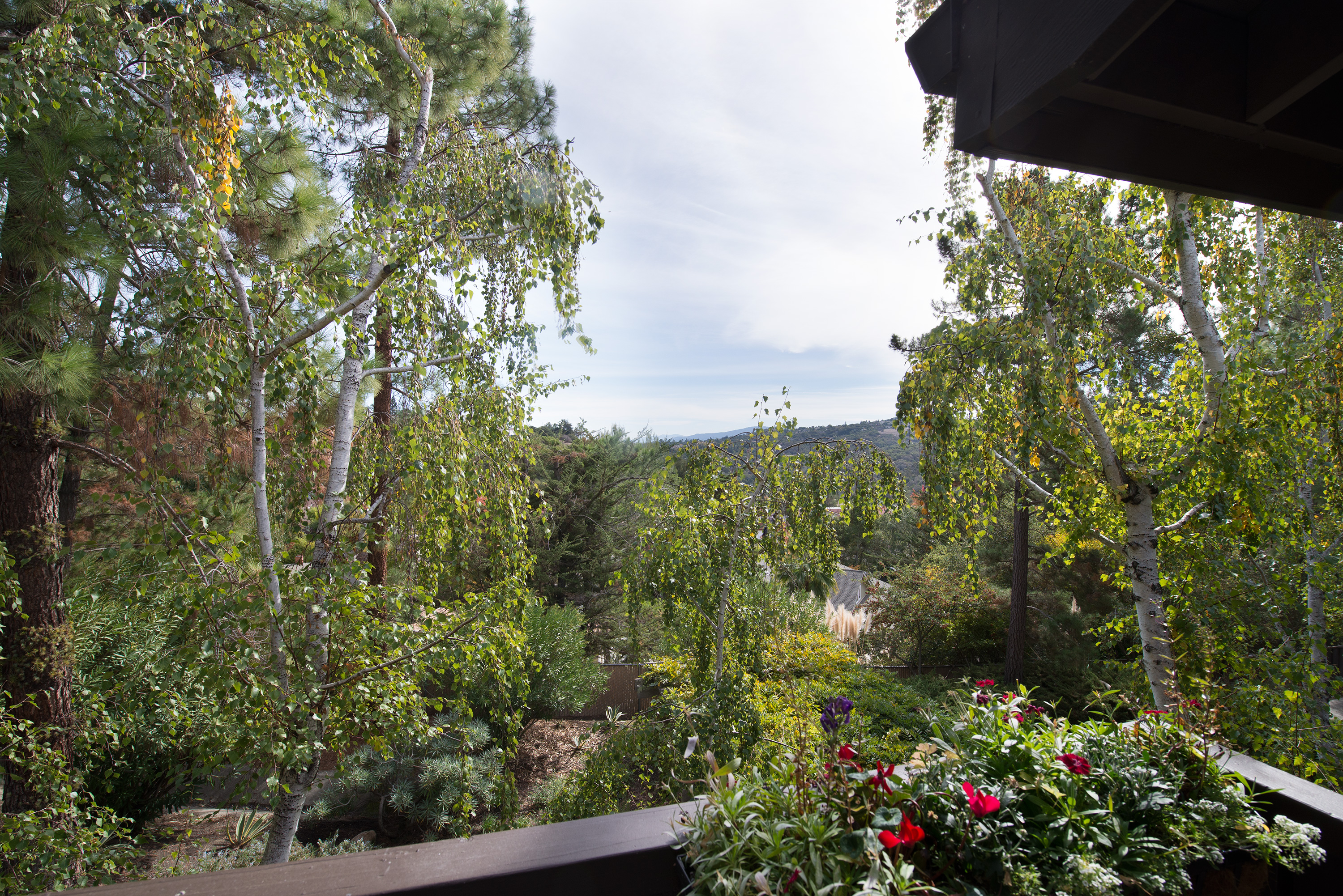3327 La Mesa Dr #12, San Carlos 94070 - Balcony View (A)