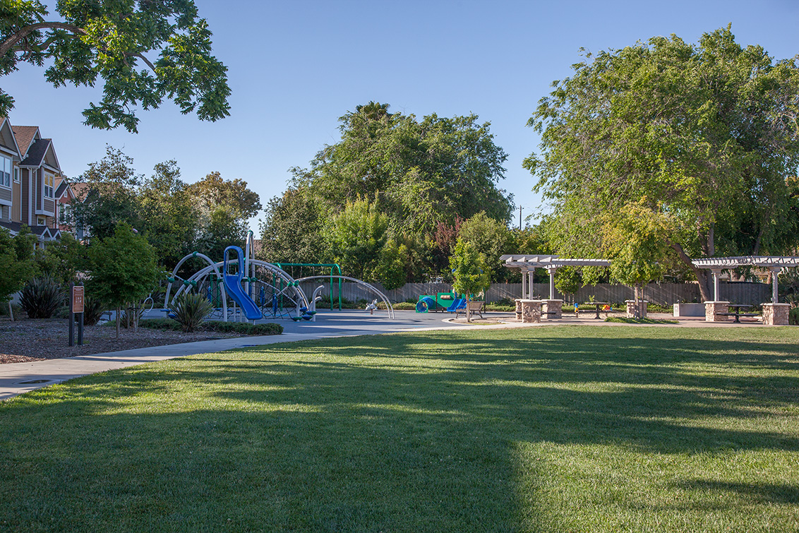 Sierra Vista Park 