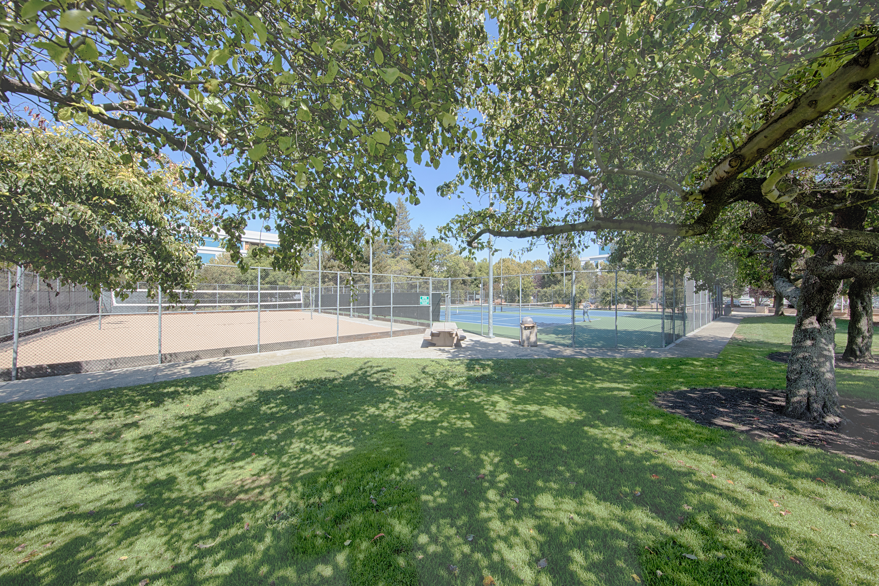 436 Costa Mesa Ter #A, Sunnyvale 94085 - Vollyball Tennis Courts (A)