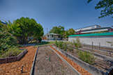 Backyard (A) - 231 Lambert Ave, Palo Alto 94306