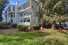 Picture of 4685 Albany Cir 124, San Jose 95129 - Home For Sale