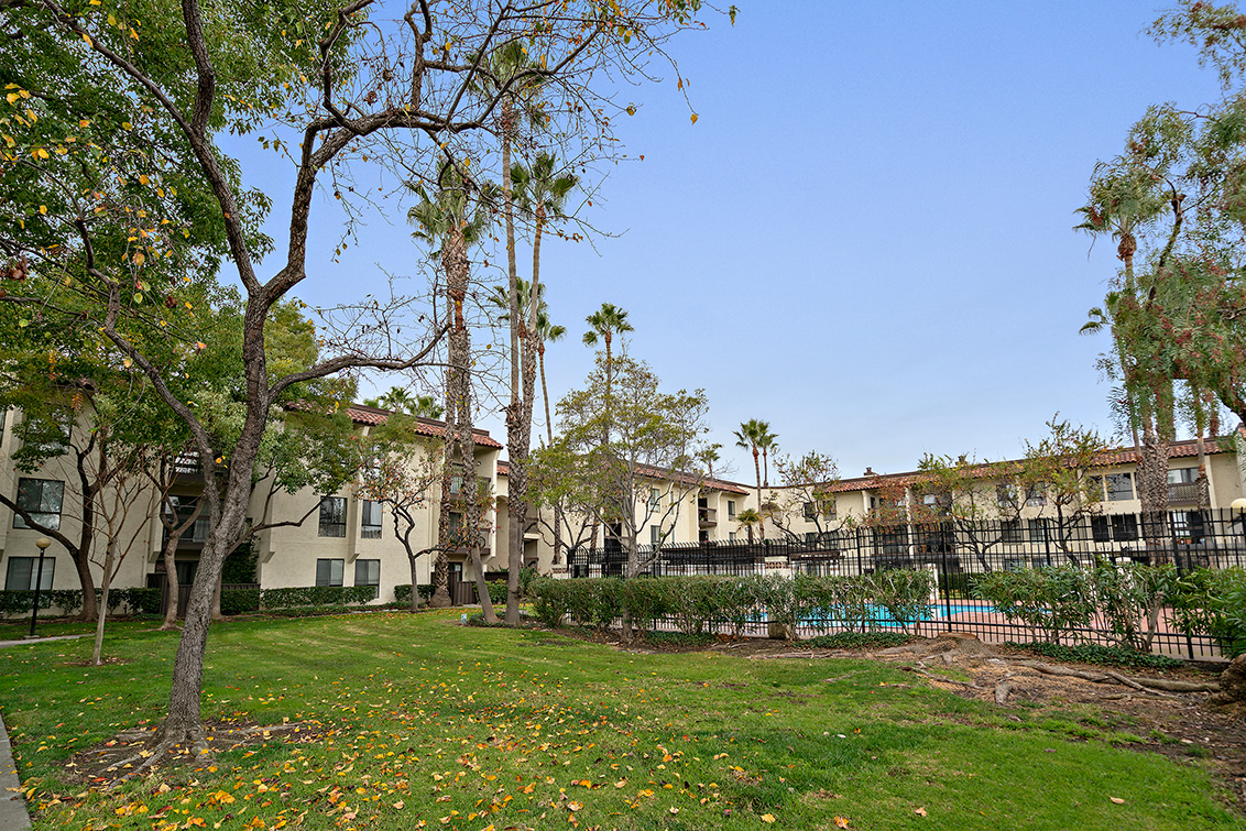 Common Area (A) picture - 39821 Cedar Blvd 115, Newark 94560