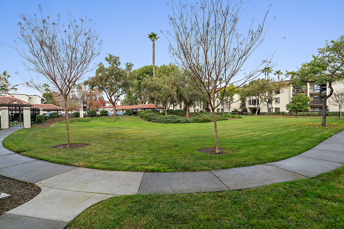 Common Area (C) picture - 39821 Cedar Blvd 115, Newark 94560