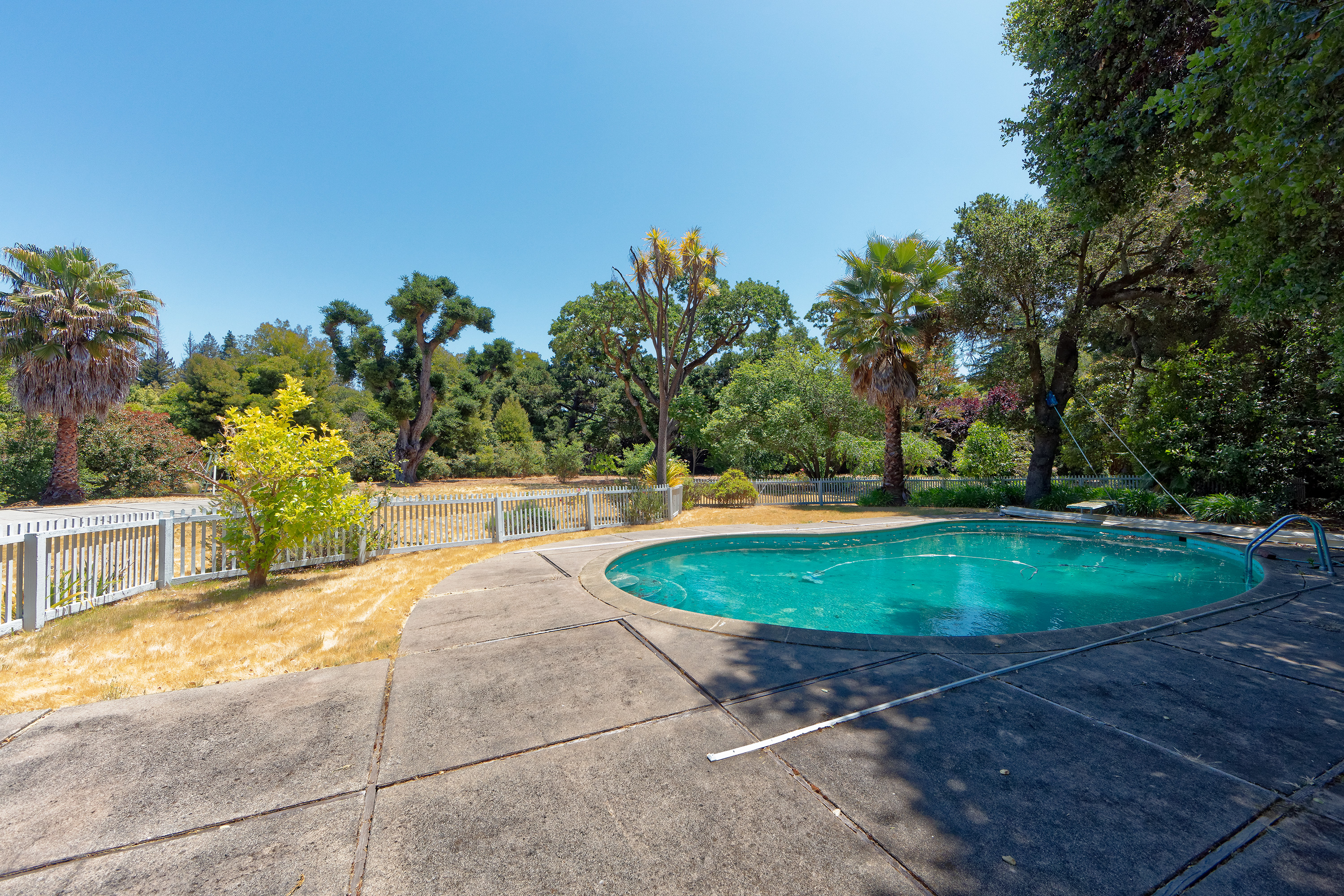 17 Tuscaloosa Ave, Atherton 94027 - Swimming Pool (A)