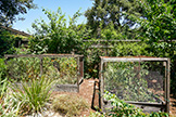 3502 Emma Ct, Palo Alto 94306 - Backyard (F)