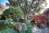 Front Yard (A) - 520 Rhodes Dr, Palo Alto 94303