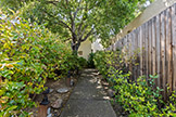 Walkway (A) - 406 Pepper Ave, Palo Alto 94306