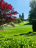 Golf (D) - 1100 Sharon Park Dr #2, Menlo Park 94025