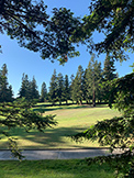 Golf (G) - 1100 Sharon Park Dr #2, Menlo Park 94025
