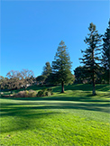Golf (K) - 1100 Sharon Park Dr #2, Menlo Park 94025