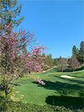 Golf (L) - 1100 Sharon Park Dr #2, Menlo Park 94025