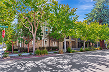 5 Artisan Way