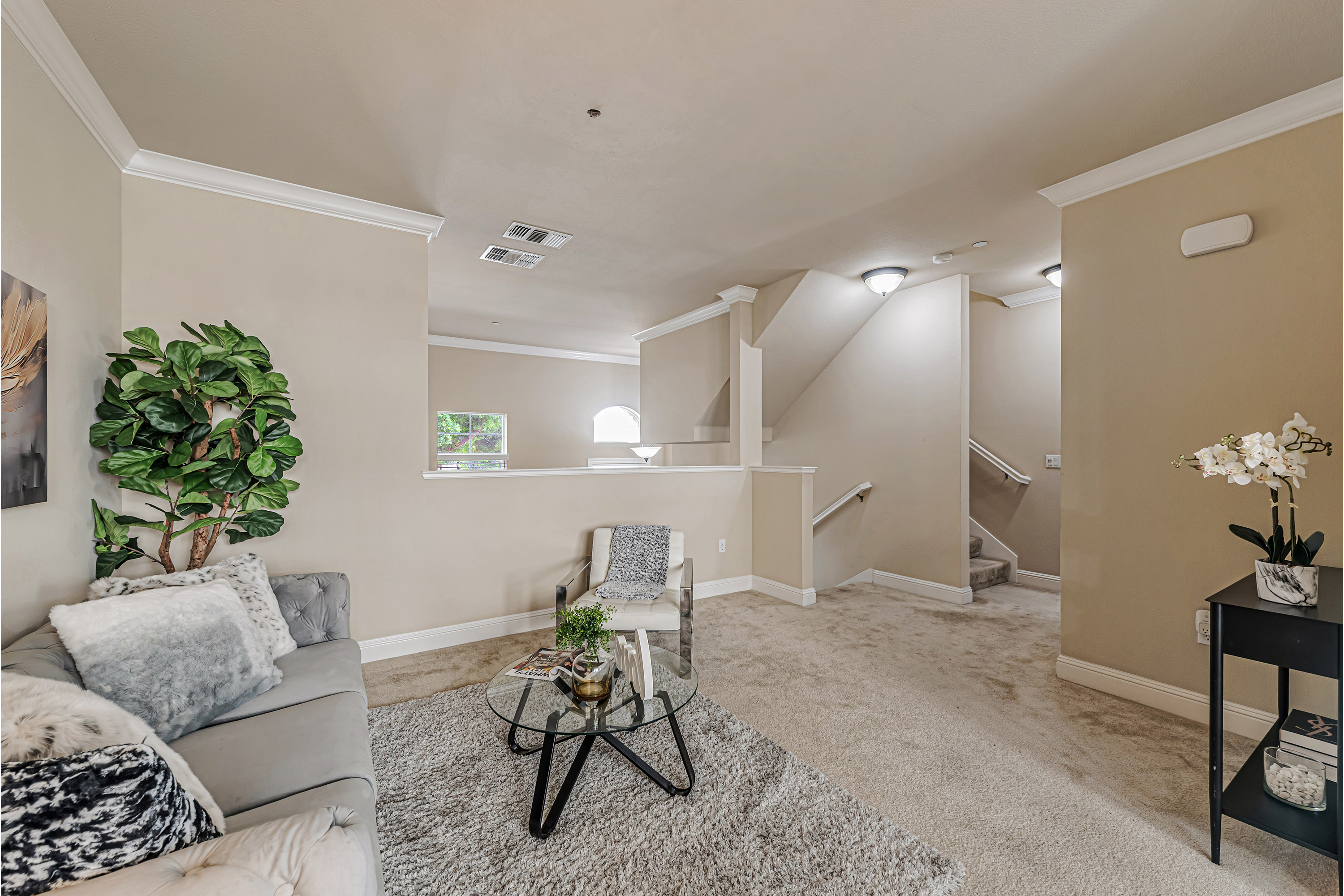 Family Room (C)