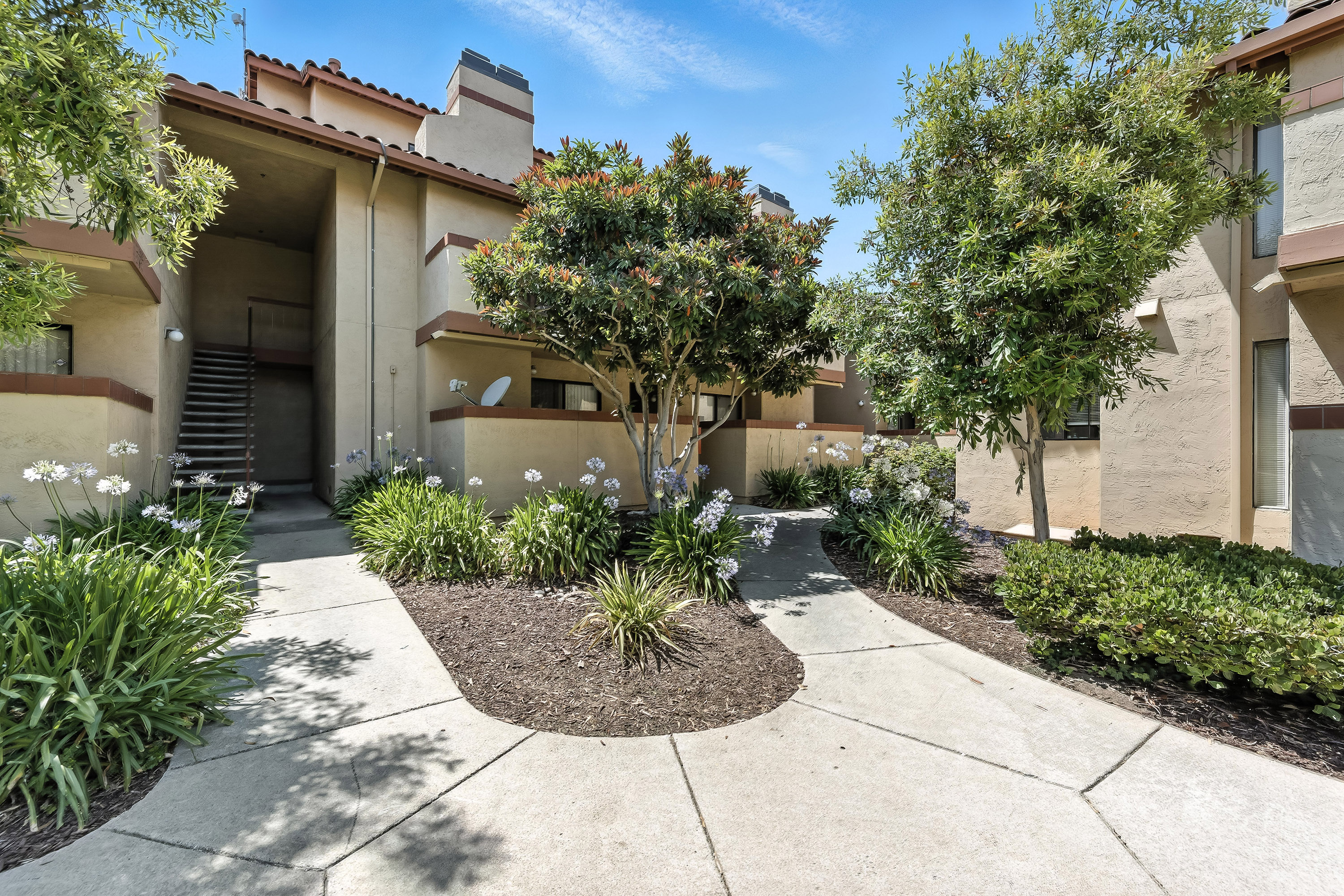 20676 Celeste Cir, Cupertino 95014