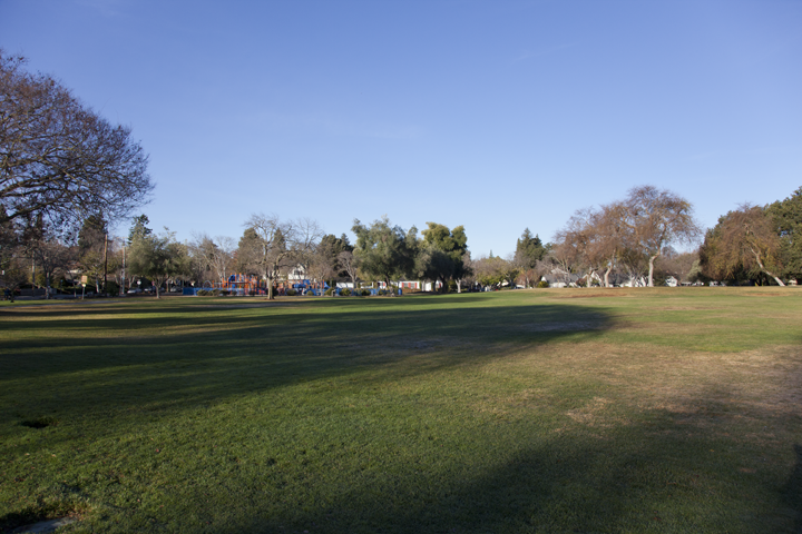Grass Field - Pardee Park, Palo Alto, CA
