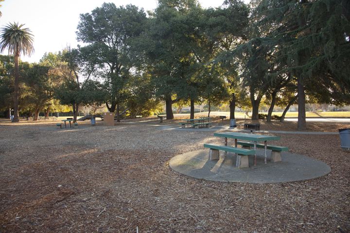 Picnic Area - Pardee Park, Palo Alto, CA