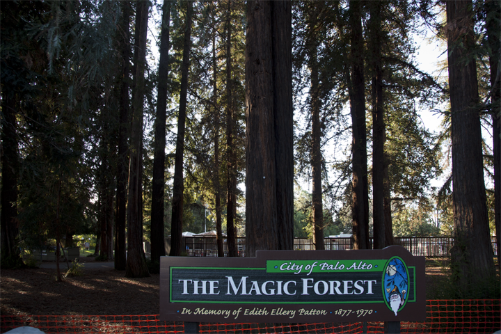 Redwood Grove - Rinconada Park - Palo Alto, CA