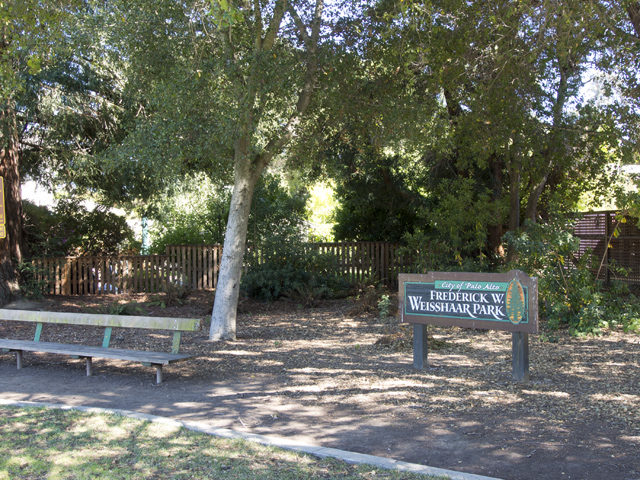 Weisshaar Park - Palo Alto, CA
