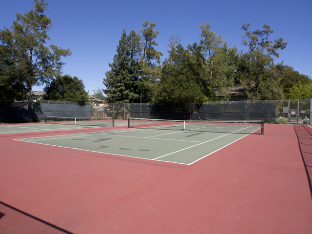Weisshaar Park, Palo Alto, CA